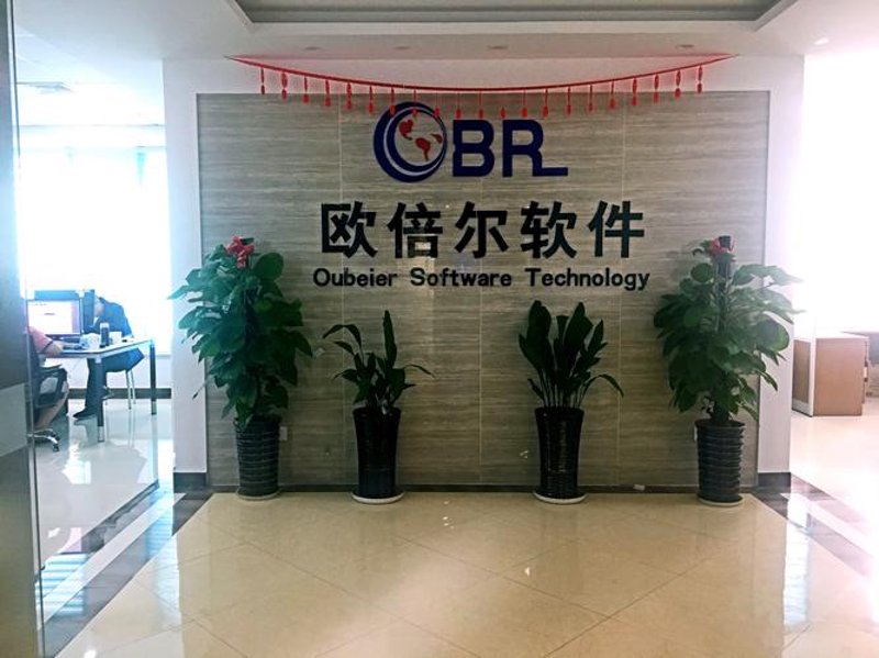 北京软件开发：构建数字创新的加速器